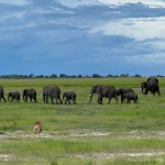 Is the Chobe Day trip worth it?