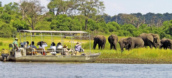 Chobe National Park Botswana and Impalila Island Namibia Day Trip From Victoria Falls Zimbabwe [3 Countries in 1 Day]