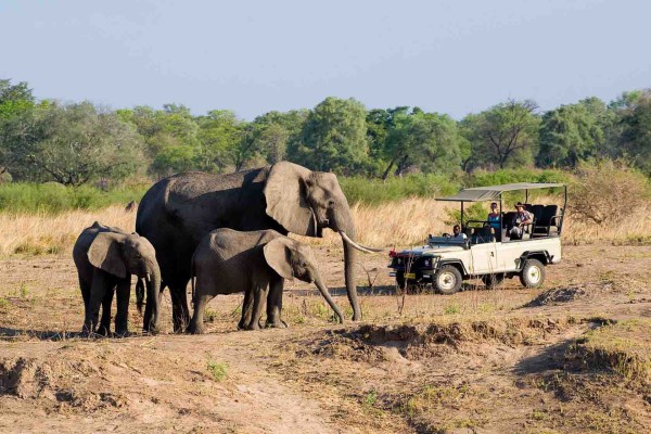 Hwange national park full day trip from Victoria Falls
