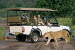 Best rates for Kasane transfer to and from Victoria Falls